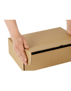 CAJA FAST FOOD AUTOMONTABLE 2