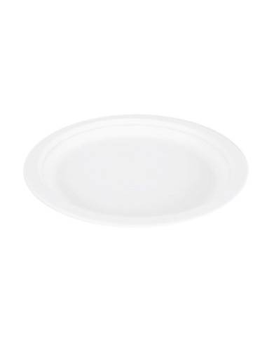 PLATO BAGAZO BLANCO